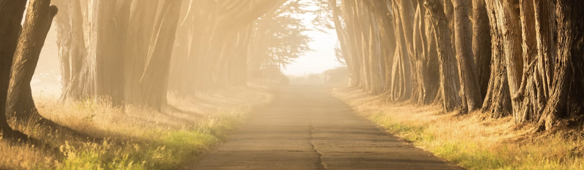 Counselling & Clinical Supervision | Ceri Phillips